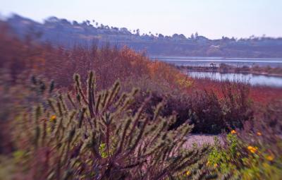 San Elijo Lagoon