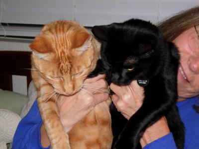 Milo and Morticia
