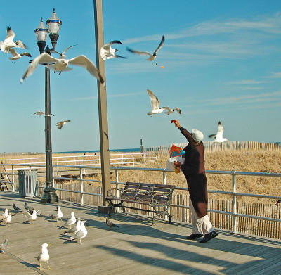 g3/22/484422/3/57777610.FeedingtheBirdsAtlanticCityNJ_edited1.jpg