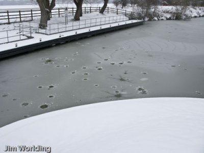 IMG_0383-12-11.jpg