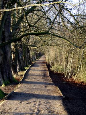 COUNTRY PARK IN WINTER