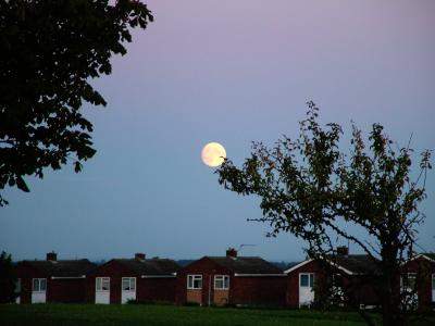 MOON RISE.jpg