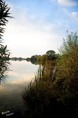 Lake Side