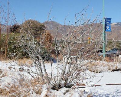 g3/22/489522/3/109264902.YTJFoBW8.jpg