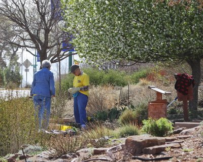 People Working in the LAMG Demonstration Garden