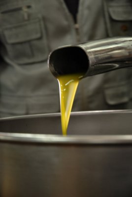Golden oil- 2009 - by Pietrolucci R.