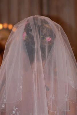 DSC_0883A.JPG