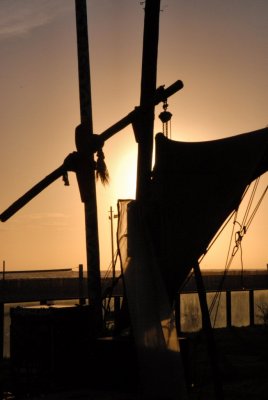 DSC_1021A.jpg