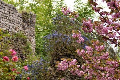 Explosion of colours - Ninfa Gardens - 18 April 2010 - by Pietrolucci R.