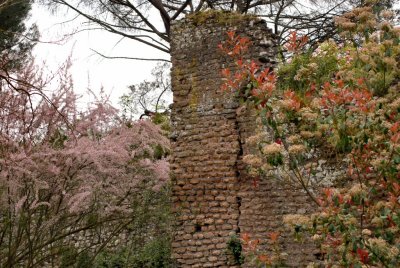 Colours of Antiquity - Ninfa Gardens - 18 April 2010 - by Pietrolucci R.