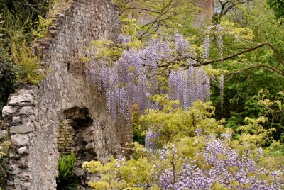 Ancient lovers - Ninfa Gardens - 18 April 2010 - by Pietrolucci R.