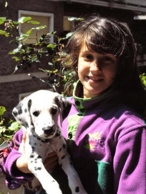 Puppies - 1991 - by Pietrolucci R.