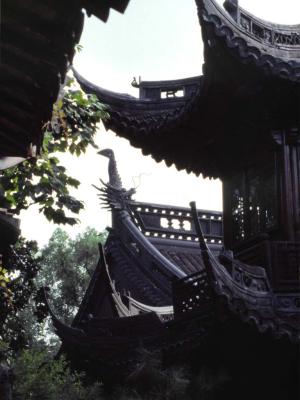 Chinese roofs - 2005 - by Pietrolucci R.