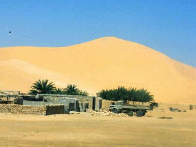 Desert life - 1981 - by Pietrolucci R.