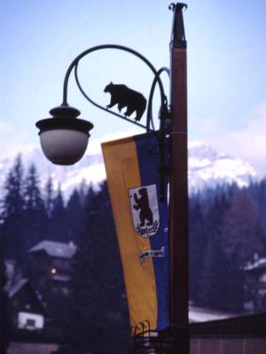 Bear - 1992 - by Pietrolucci R.