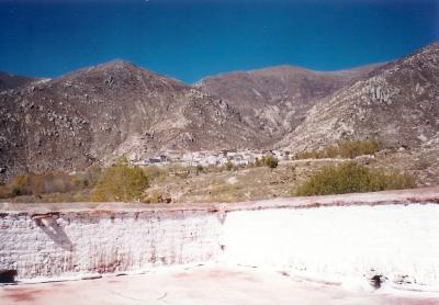 g3/22/516422/3/53160520.DrepungMonastary.jpg