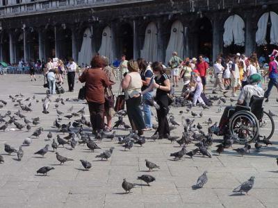 St. Marks pidgeons.JPG