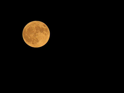 Golden Moon.jpg