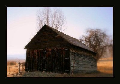 Old Barn In Idaho