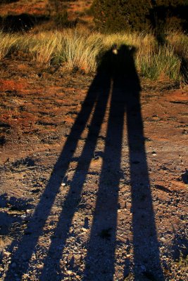 shadowplay.jpg