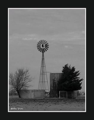 g3/22/525822/3/54907476.TheCowsWentHome.jpg