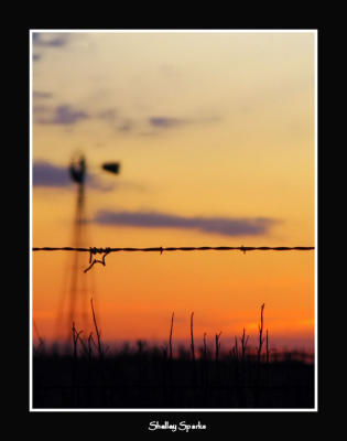 Barbed Wire II