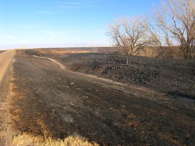 Near McLean, Texas