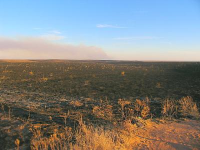 Just Stubble Everywhere - E. of Groom, TX Towards McLean.