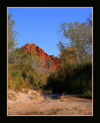 Prairie Dog Town Fork.jpg