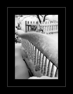 snow on the rail.jpg