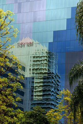 Reflections from the Gardens