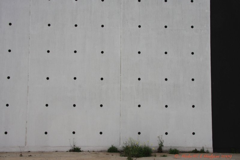 9  Black circles in white