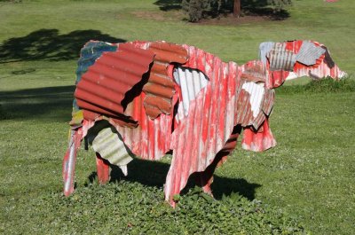 3 september Cows at Heide sculpture park