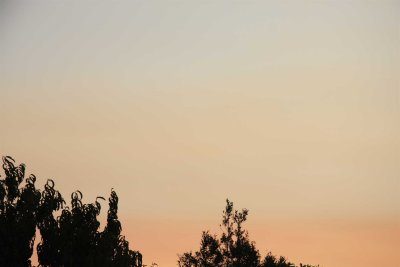Smokey sunset Springvale