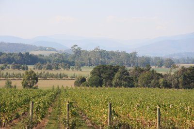 22 April the soothing landscape of the Yarra Valley