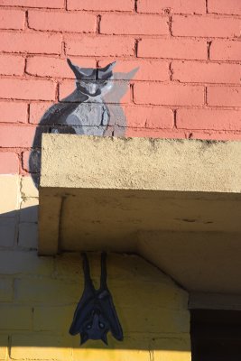 3 May Cat and Fledermaus