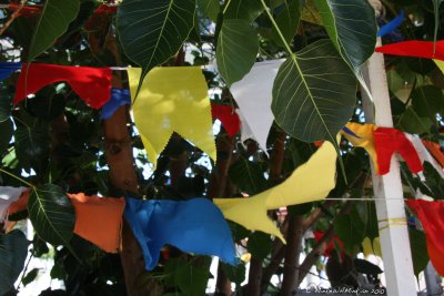 18 Prayer flags blowing in the wind