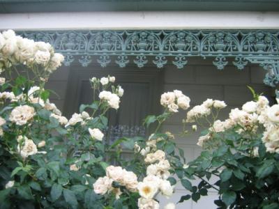 2 december 2005 White roses