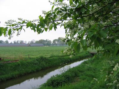 Little creek
