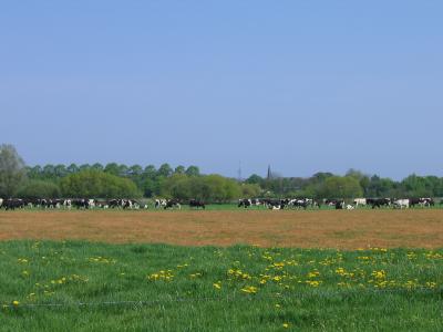 Church lands in Wierden