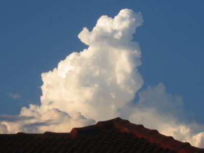 21 januari 2006 Cumulus clouds