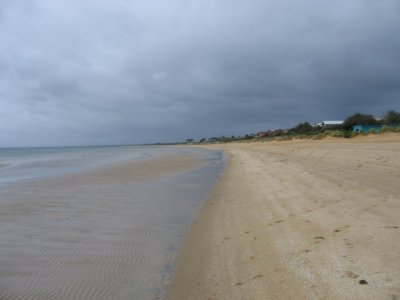 4 november After the deluge at Frankston Beach