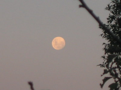 19 april Nearly full moon