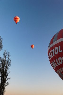 g3/22/546822/3/123894462.Cwandg2A.jpg