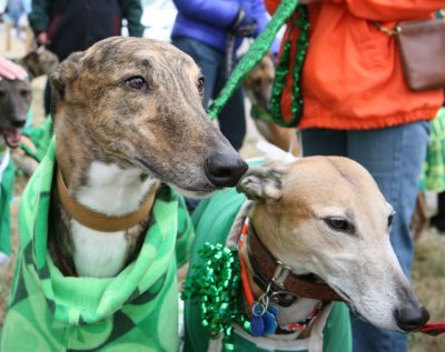 St. Patrick's Day Get Together 2010