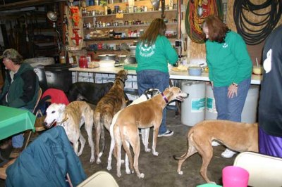 ST-PATS-DAY-2010-022.jpg