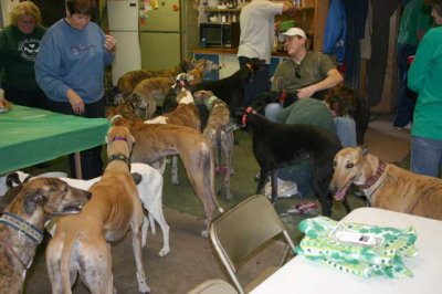 ST-PATS-DAY-2010-025.jpg