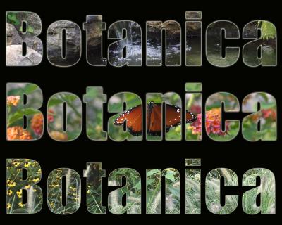 botanicaphotos.jpg