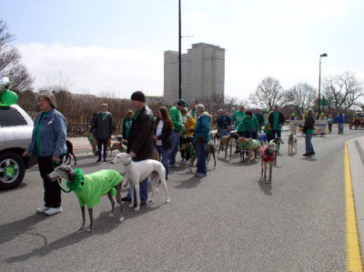 Heartland Greyhounds Circle of Friends