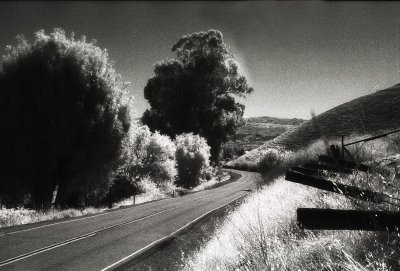 Infrared Film